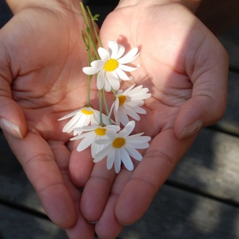 Εορτολόγιο: Σήμερα, 6 Μαρτίου 2023 γιορτάζει…