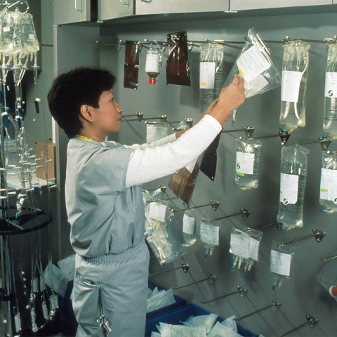 Επιστήμη - Βιολογία: Δημιουργήθηκαν τα πρώτα ωάρια από αρσενικά κύτταρα ποντικιών, ανοίγοντας τον δρόμο για μωρά με δύο βιολογικούς πατέρες	