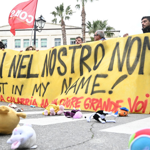 Διαδηλώσεις στην Καλαβρία