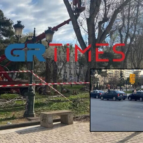 Κοπή δέντρων στη Θεσσαλονίκη και προσαγωγές στη Ρωμαϊκή Αγορά