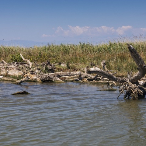 Θεσσαλονίκη: Εντοπίστηκε σορός στον Αξιό ποταμό