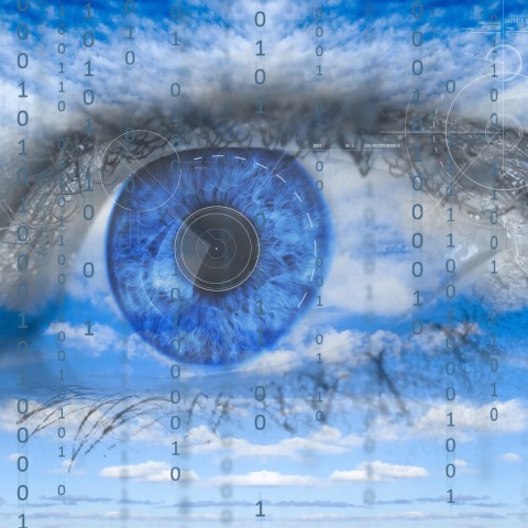 Πώς εκπαιδεύονται οι illegals @Micha/ pixabay