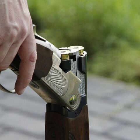 Σκύλο στο κεφάλι με καραμπίνα πυροβόλησε άνδρας στο Ρέθυμνο