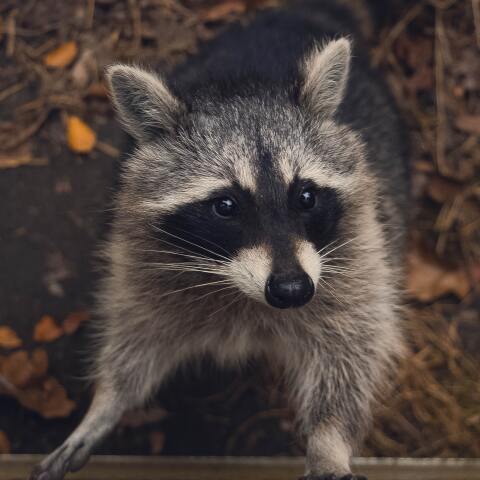 @Quinten de Graaf/ unsplash