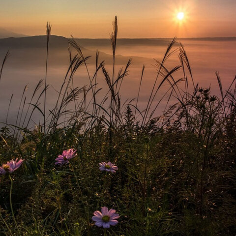 Ανατολή ηλίου