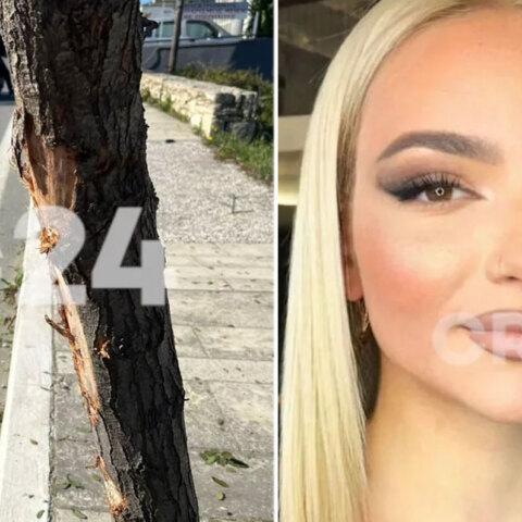 Το δέντρο όπου προσέκρουσε το αυτοκίνητο με την 22χρονη Πένυ