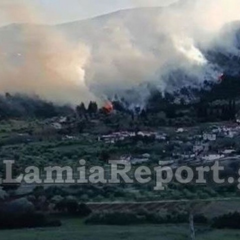 Φωτιά τώρα στη Μενδενίτσα Φθιώτιδας