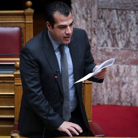 Θάνος Πλεύρης