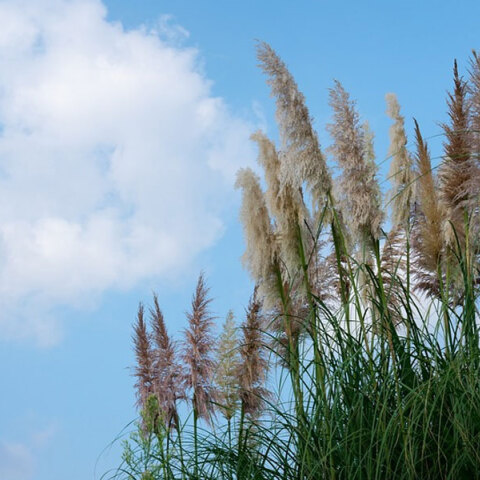 Γενικά αίθριος ο καιρός σήμερα 1η Απριλίου