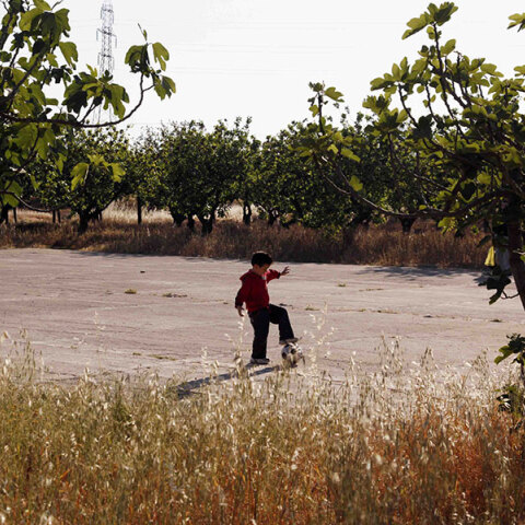 Πάρκο στην Αθήνα (ΦΩΤΟ ΑΡΧΕΙΟΥ)