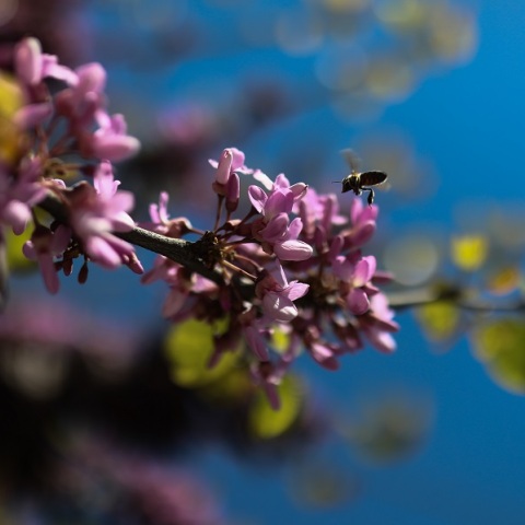 Καιρός: Καθημερινή πρόγνωση μέχρι και το Πάσχα