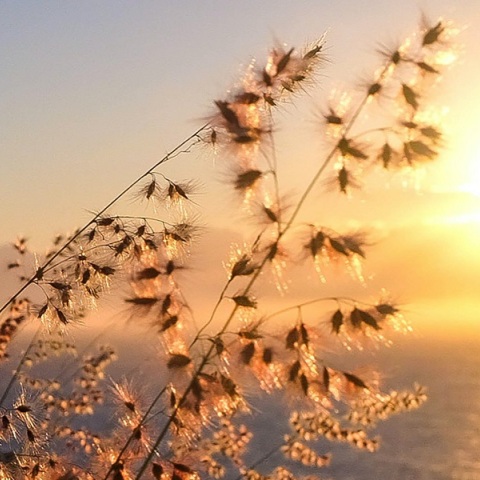 Μάρτιος 2023: Ο δεύτερος θερμότερος παγκοσμίως από το 1979