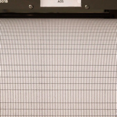 Σεισμική δόνηση