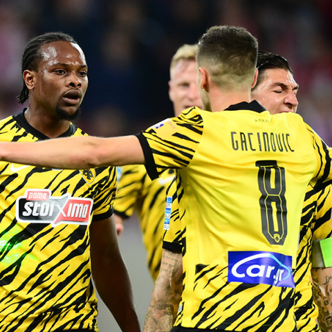 Παίκτες της ΑΕΚ