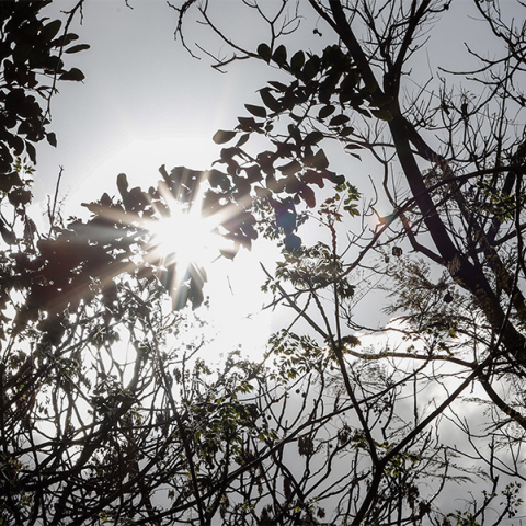 Ήλιος - καιρός