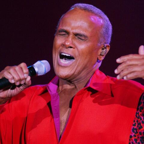 O Xάρι Μπελαφόντε σε μεγαλύτερη ηλικία