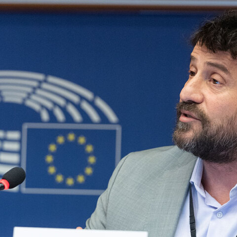 Αλέξης Γεωργούλης