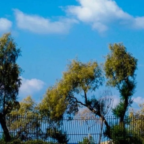 Καιρός: Γενικά αίθριος την Παρασκευή