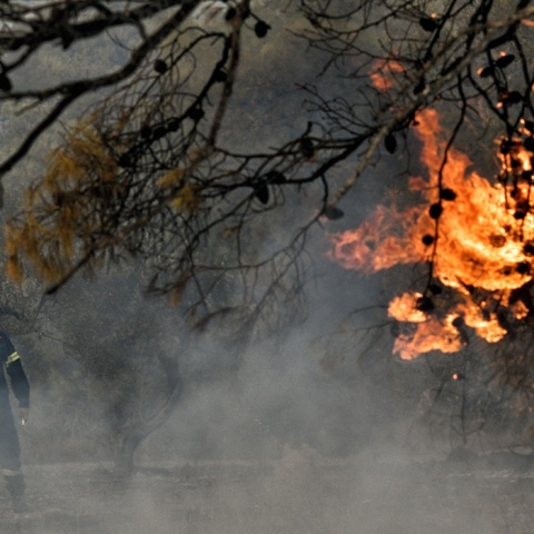 Πυροσβέστης πίσω από κλαδί πεύκου που καίγεται 