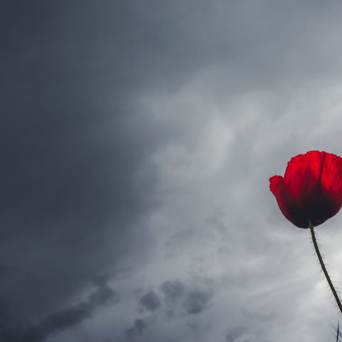 Σύννεφα βροχής
