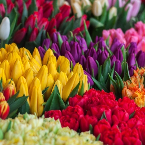 Εορτολόγιο