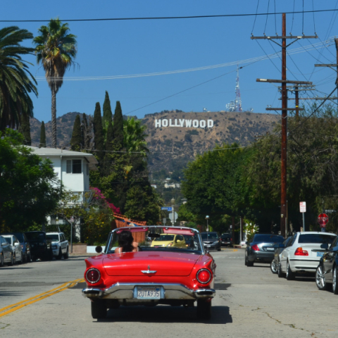 Hollywood