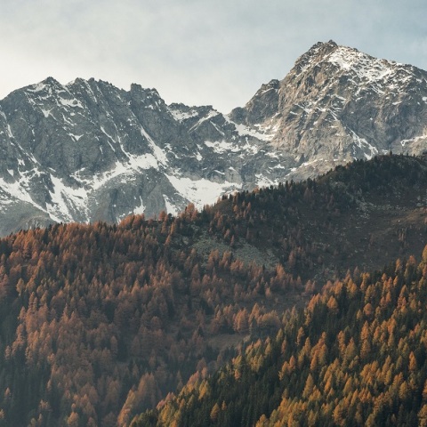 Ελβετία: Αεροσκάφος συνετρίβη στις Άλπεις - Άγνωστος ο αριθμός των θυμάτων 