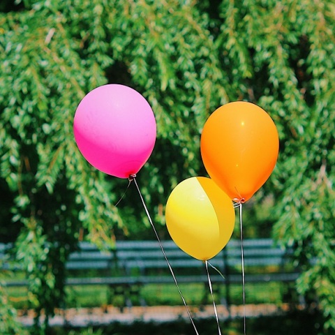 Δήμος Αθηναίων: Παγκόσμια Ημέρα Πάρκου με 7 μουσικά events σε 7 πάρκα της πόλης