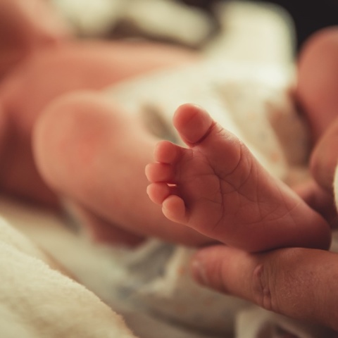 Ποδαράκια νεογέννητου βρέφους