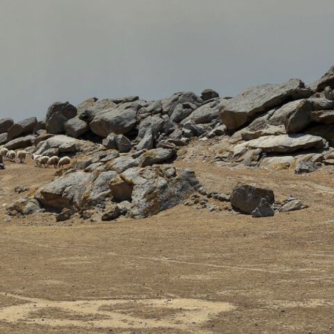 Μύκονος, Το Μαγικό Νησί, Σπύρος Παλούκης