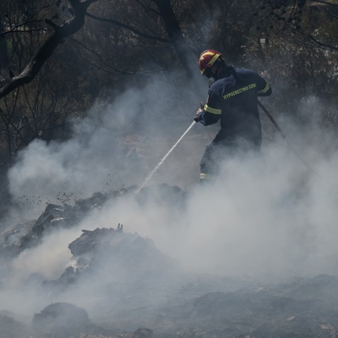 Πυροσβέστης στη μάχη της κατάσβεσης φωτιάς σε δασική έκταση