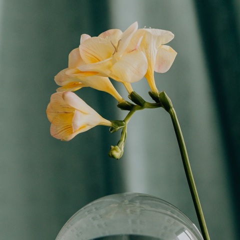 Εορτολόγιο: Σήμερα 1 Ιουνίου 2023 γιορτάζει…