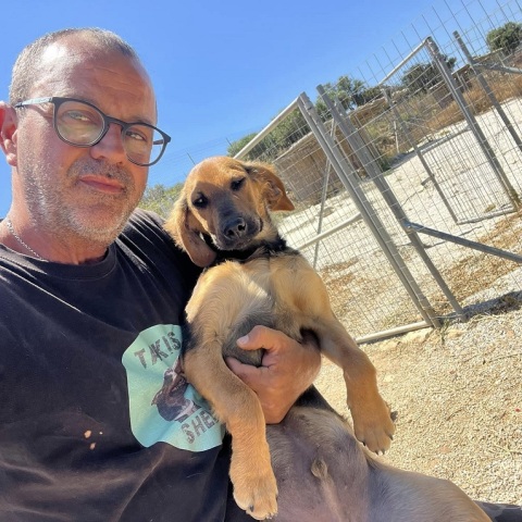 Τάκης Προεστάκης, ιδρυτής και ιδιοκτήτης του Takis Shelter