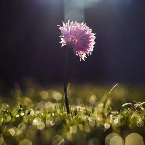 Εορτολόγιο: Σήμερα 2 Ιουνίου 2023 γιορτάζει…