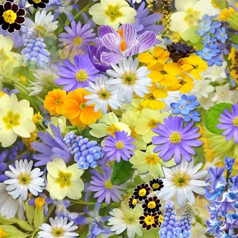 Εορτολόγιο: Σήμερα 5 Ιουνίου 2023 γιορτάζει…