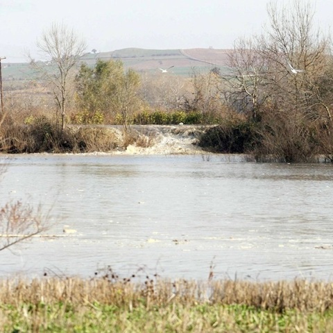 Ομάδα 80 μεταναστών εγκλωβισμένη σε νησίδα στον Έβρο