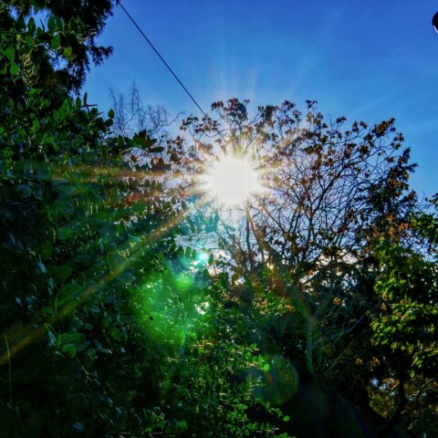 @ΓΙΩΡΓΟΣ ΚΟΝΤΑΡΙΝΗΣ / EUROKINISSI