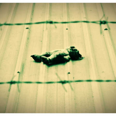 Το σύνδρμο του ξεχασμένου μωρού