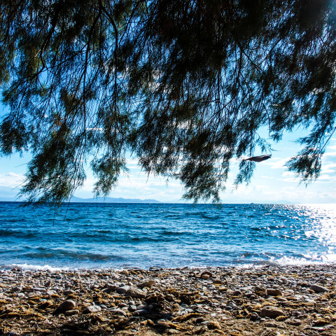 Ήλιος στην παραλία