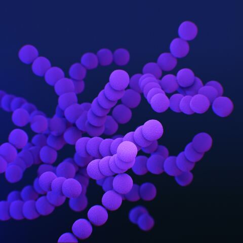 Στρεπτόκοκκος