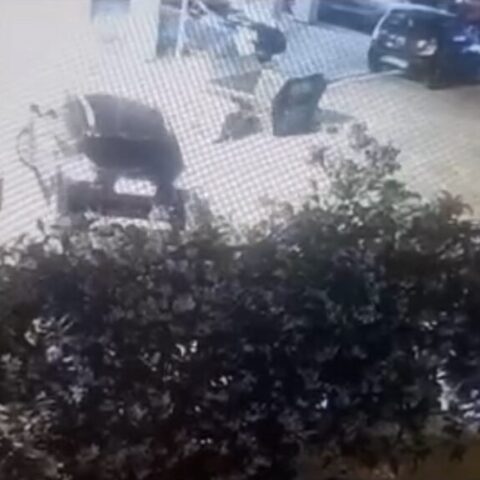 Κορυδαλλός - Βίντεο-ντοκουμέντο: Το αυτοκίνητο των εκτελεστών λίγο πριν τη διπλή δολοφονία