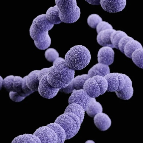 ΕΟΔΥ: Δέκα ερωτήσεις και απαντήσεις για τον στρεπτόκοκκο 