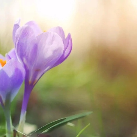 Εορτολόγιο: Σήμερα 16 Ιουνίου 2023 γιορτάζει…