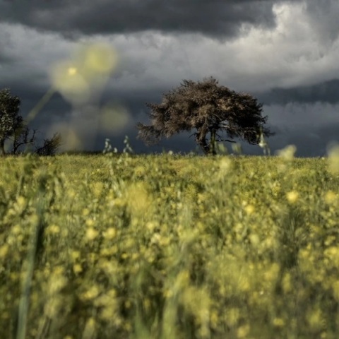 Καιρός: Βελτιώνεται μέχρι να ξαναχαλάσει: «Ο Ω εμποδιστής δεν έφυγε»