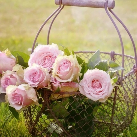 Εορτολόγιο: Σήμερα 20 Ιουνίου 2023 γιορτάζει…