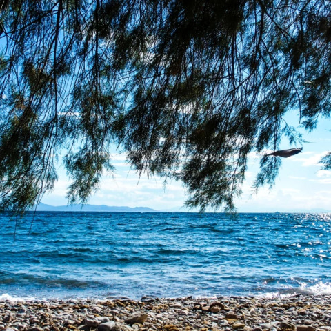 © EUROKINISSI/ΓΙΩΡΓΟΣ ΚΟΝΤΑΡΙΝΗΣ