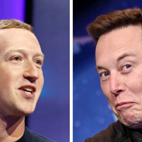 Έλον Μασκ και Μαρκ Ζούκερμπεργκ ετοιμάζονται να παλέψουν σε κλουβί