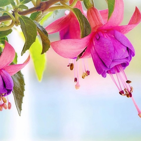 Εορτολόγιο: Σήμερα 26 Ιουνίου 2023 γιορτάζει...