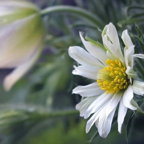 Εορτολόγιο: Σήμερα 28 Ιουνίου 2023 γιορτάζει…