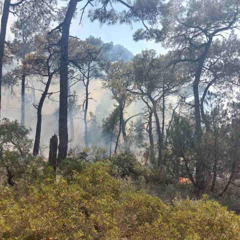 Φωτιά στη Ρόδο
